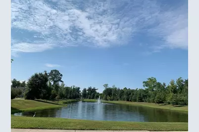 22019 Flashing Ridge Drive, Spring, TX 77389 - Photo 43