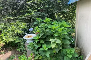 124 Wren, Livingston, TX 77351 - Photo 19