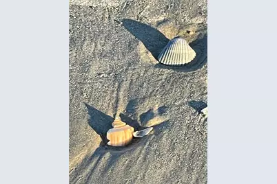 13227 Jolly Roger Drive, Freeport, TX 77541 - Photo 41