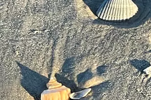 13227 Jolly Roger Dr, Freeport, TX 77541 - Photo 41