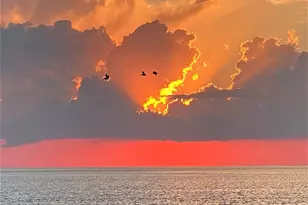 13227 Jolly Roger Dr, Freeport, TX 77541 - Photo 5