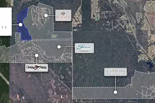 4308 Spyglass Dr, Montgomery, TX 77316 - Photo 3