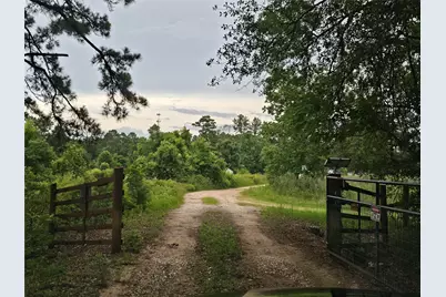 10299 Cox Lane, Plantersville, TX 77363 - Photo 11