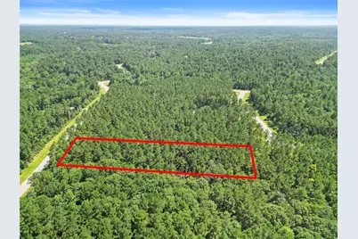 Lot 77 Wagon Pass Drive Drive, Huntsville, TX 77340 - Photo 5