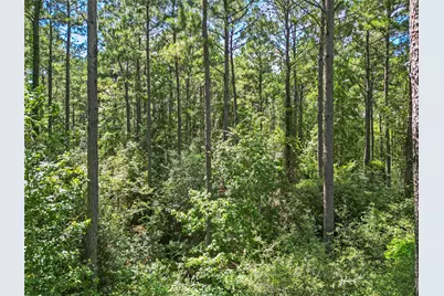 Lot 77 Wagon Pass Drive Drive, Huntsville, TX 77340 - Photo 9