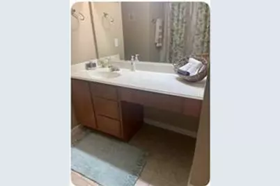 2606 Skyview Moon Drive, Houston, TX 77047 - Photo 19