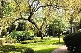 2100 Tanglewilde St, Houston, TX 77063 - Photo 25