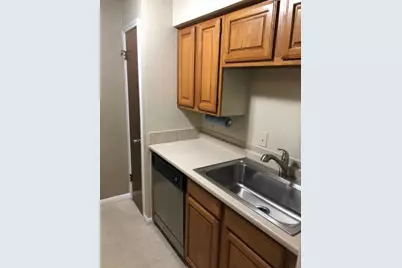 2507 Montrose Boulevard #32, Houston, TX 77006 - Photo 9