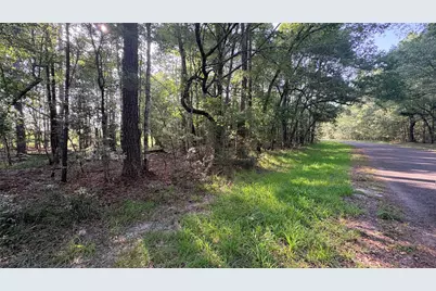 Lot 11 Hackberry Drive, Village Mills, TX 77663 - Photo 5