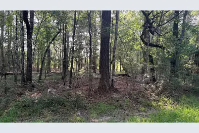 Lot 11 Hackberry Drive, Village Mills, TX 77663 - Photo 3