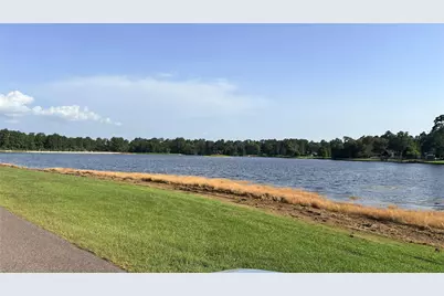 Lot 11 Hackberry Drive, Village Mills, TX 77663 - Photo 7