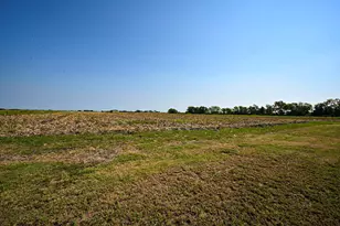 14920 Bj Dusek Rd, Wallis, TX 77485 - Photo 19