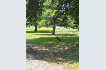 4730 Charles Street, Pasadena, TX 77586 - Photo 13