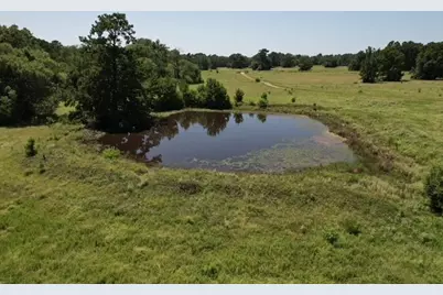 882 Jones Road, New Waverly, TX 77358 - Photo 5