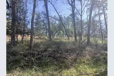 201 Chinquapin Road, Trinity, TX 75862 - Photo 9