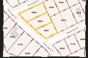 201 Chinquapin Rd, Trinity, TX 75862 - Photo 1