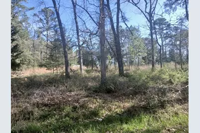 201 Chinquapin Road, Trinity, TX 75862 - Photo 7