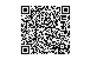 4215 Eli St St, Houston, TX 77007 - Photo 43