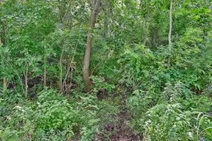 9000 Fm 390 E, Brenham, TX 77833 - Photo 29