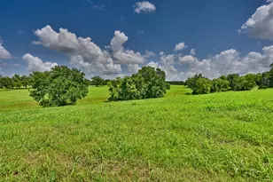 9000 Fm 390 E, Brenham, TX 77833 - Photo 35