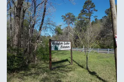 412 Driftwood Drive, Goodrich, TX 77335 - Photo 3