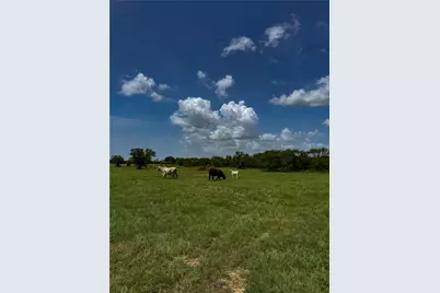 Tract 2 Foster School Road, Needville, TX 77461 - Photo 19