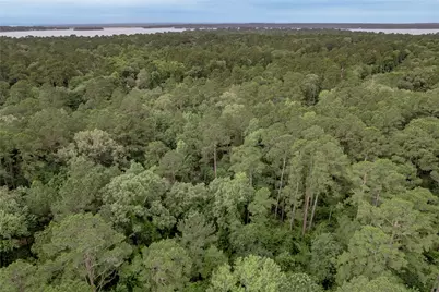 389 Live Oak Drive, Trinity, TX 75862 - Photo 27