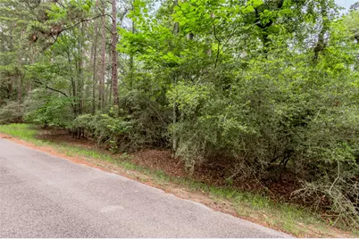 389 Live Oak Drive, Trinity, TX 75862 - Photo 9