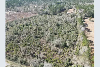 699 County Road 4800 Road W, Warren, TX 77664 - Photo 5