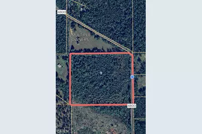 699 County Road 4800 Road W, Warren, TX 77664 - Photo 3
