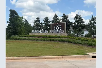 24742 Zinnia Blossom Drive, Montgomery, TX 77316 - Photo 33