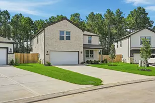 24742 Zinnia Blossom Dr, Montgomery, TX 77316 - Photo 1
