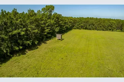 224 James King Road, Zavalla, TX 75980 - Photo 49