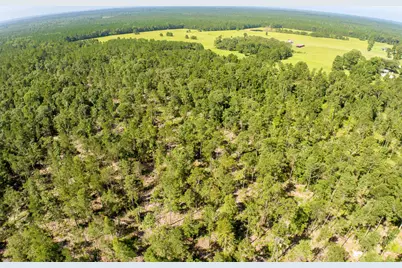 224 James King Road, Zavalla, TX 75980 - Photo 43