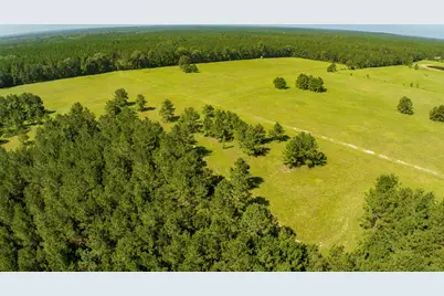 224 James King Road, Zavalla, TX 75980 - Photo 39