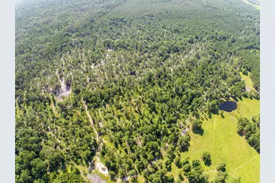 224 James King Road, Zavalla, TX 75980 - Photo 45