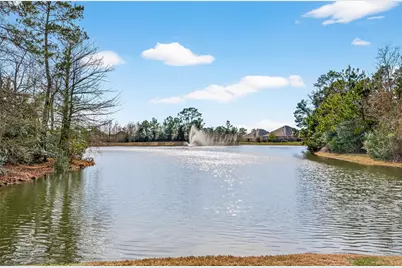 6014 Henry Hamlet Drive, Conroe, TX 77304 - Photo 7