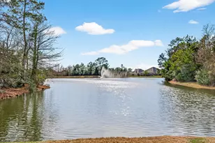 6014 Henry Hamlet Dr, Conroe, TX 77304 - Photo 7