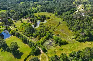 16452 Edgefield Ln, Conroe, TX 77302 - Photo 49