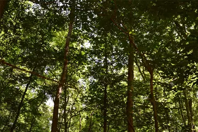 0 Colony Drive, Angleton, TX 77515 - Photo 7