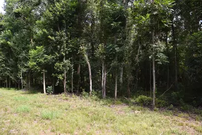 0 Colony Drive, Angleton, TX 77515 - Photo 13