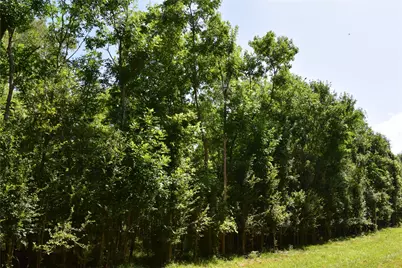 0 Colony Drive, Angleton, TX 77515 - Photo 9