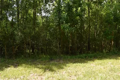 0 Colony Drive, Angleton, TX 77515 - Photo 11