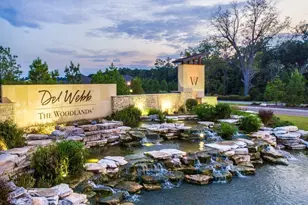 223 Spotted Saddle Ct, The Woodlands, TX 77382 - Photo 39