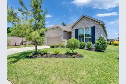 223 Spotted Saddle Court Court, The Woodlands, TX 77382 - Photo 3