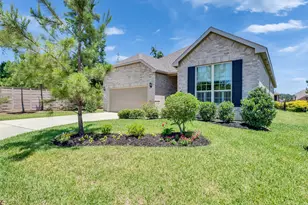 223 Spotted Saddle Ct Ct, The Woodlands, TX 77382 - Photo 3