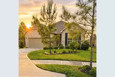 223 Spotted Saddle Court Court, The Woodlands, TX 77382 - Photo 5