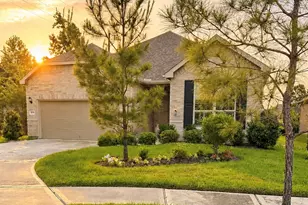 223 Spotted Saddle Ct Ct, The Woodlands, TX 77382 - Photo 5