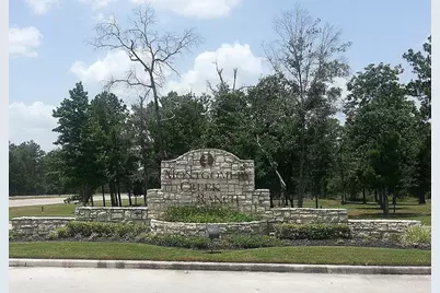 9951 Chimney Swift Lane, Conroe, TX 77385 - Photo 3