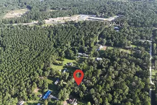 49 Pine Oak Ln, Huntsville, TX 77340 - Photo 3